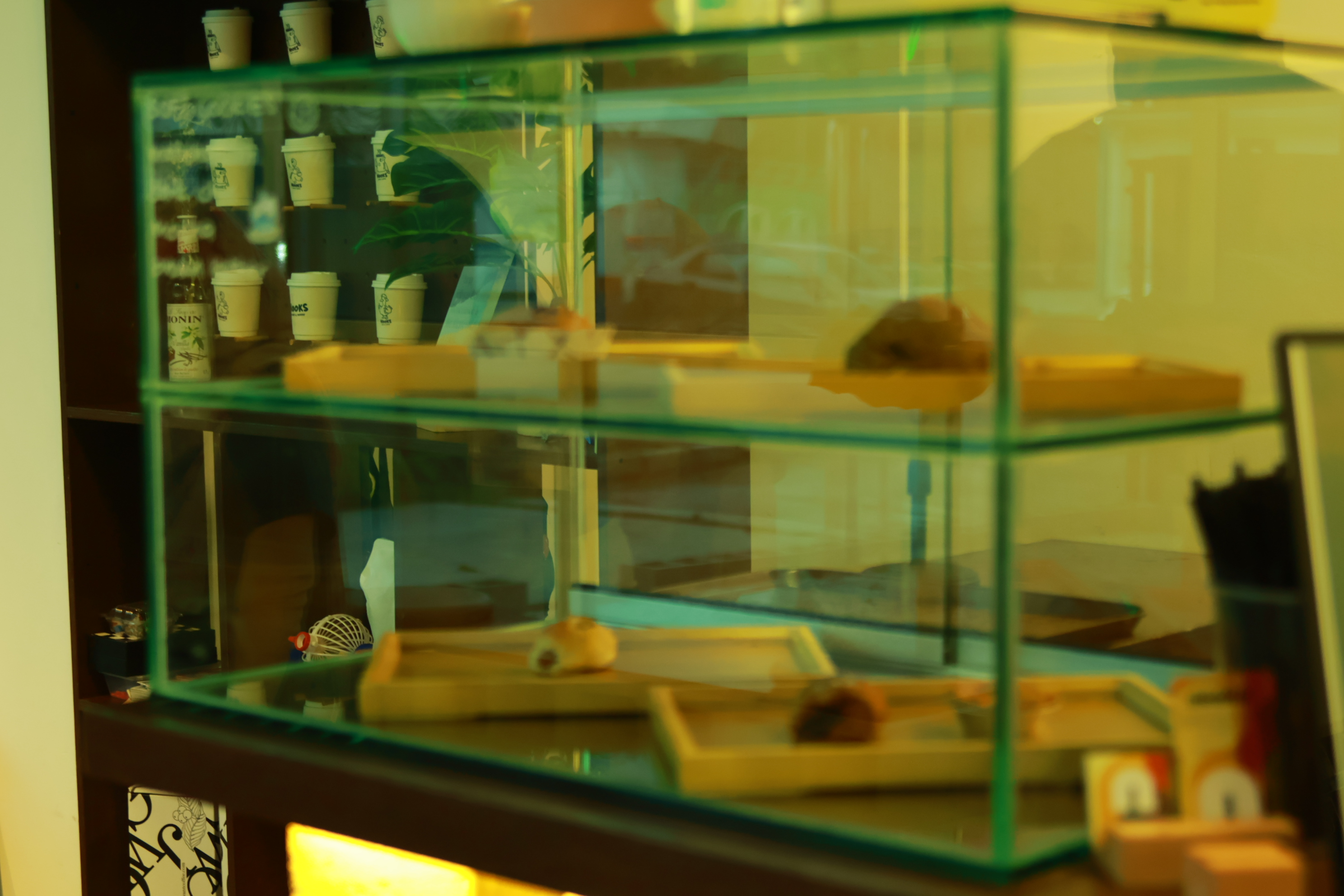 Pastry and drinks display case